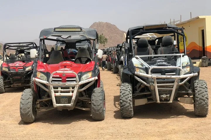 Safari Discovery Hurghada
